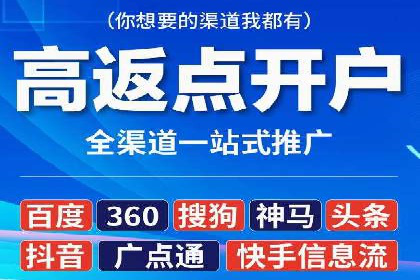 百度竞价推广运营实战技巧与经典案例剖析